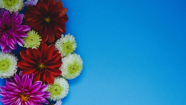 提升了近 提升了近