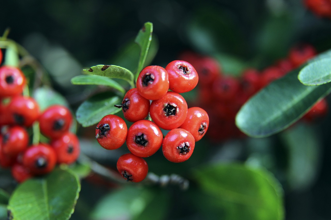 心理上的高 心理上的高