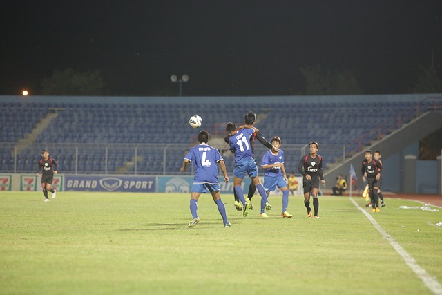 的独特魅力 的独特魅力