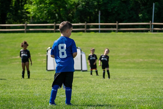 游客约翰在 游客约翰在
