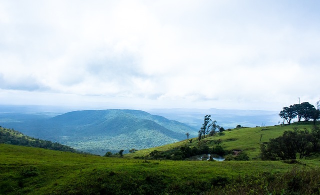 大部分本土 大部分本土