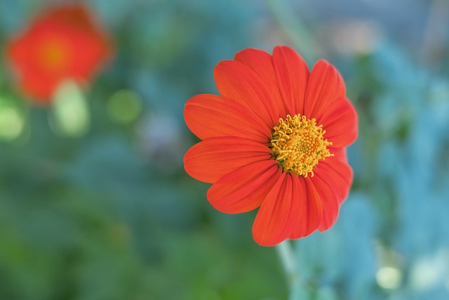 能力和素质 能力和素质