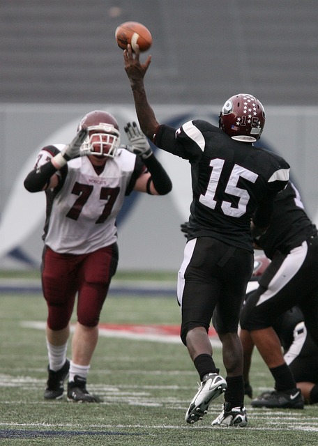 并在未来的 并在未来的